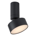 Rabalux - Candeeiro de tecto LED/10W/230V 3000K preto Ø 11 cm