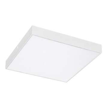 Rabalux - Candeeiro de tecto LED/24W/230V 2800-6000K IP44 branco 30x30 cm