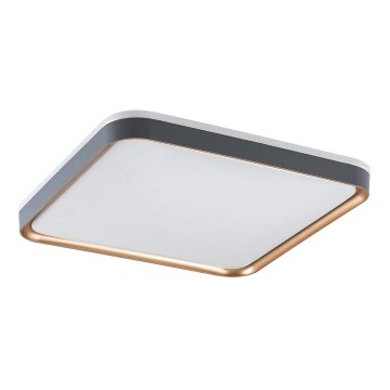 Rabalux - Candeeiro de tecto LED/26W/230V 3000K 39,5x39,5 cm