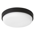 Rabalux - Candeeiro de tecto LED para exterior LED/14W/230V IP54 preto
