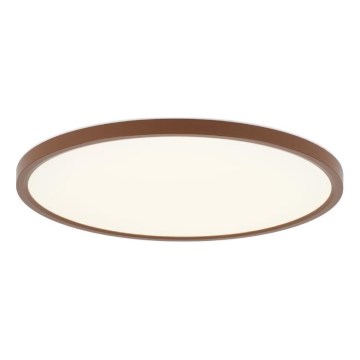 Rabalux - Candeeiro de teto LED para casa de banho LED/24W/230V 3000/4000/6000K pr. 40 cm IP44 castanho