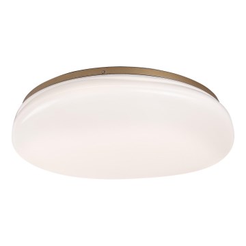 Rabalux - Candeeiro de teto para casa de banho LED/24W/230V IP44 Ø 41 cm