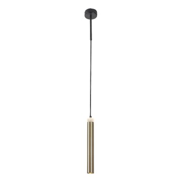 Rabalux - Candeeiro suspenso LED LED/10W/230V 4000K preto/dourado