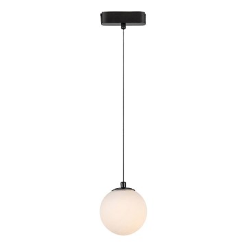 Rabalux - Candeeiro suspenso LED para sistema de carris monofásico LED/5W/24V 3000K preto
