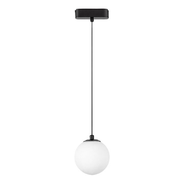 Rabalux - Candeeiro suspenso LED para sistema de carris monofásico LED/5W/24V 4000K preto