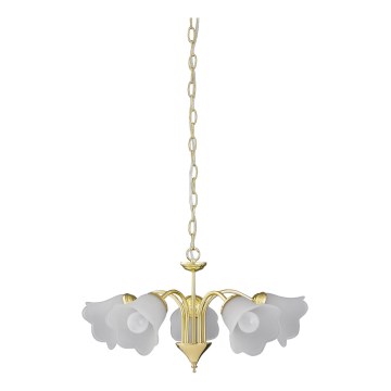 Rabalux - Candelabro numa corrente 5xE14/40W/230V