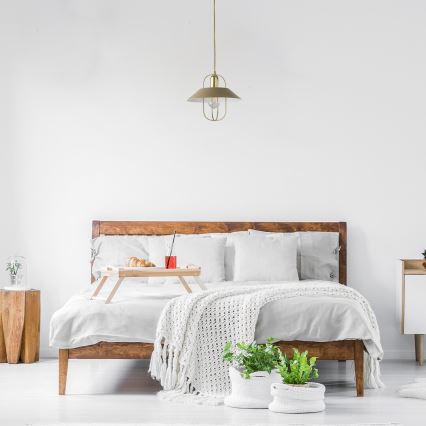 Rabalux - Candelabro suspenso 1xE27/40W/230V