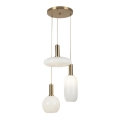 Rabalux - Candelabro suspenso 3xE27/60W/230V