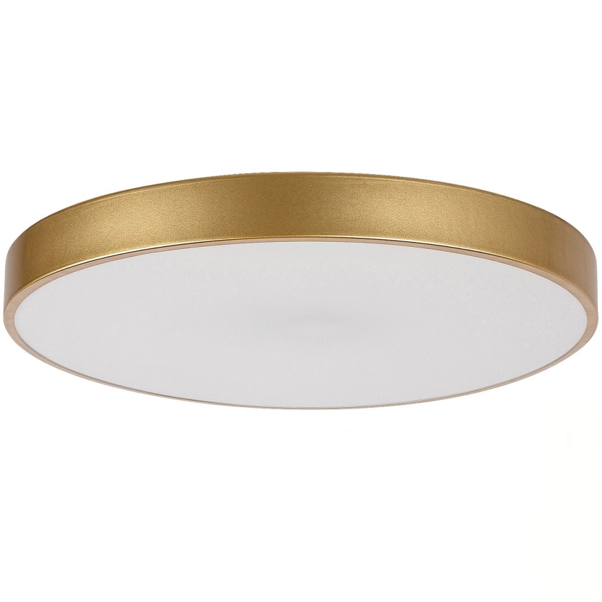 Rabalux - Cúpula de reposição para lustre e luminária de teto TESIA branca