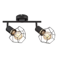 Rabalux - Foco 2xE27/40W/230V preto