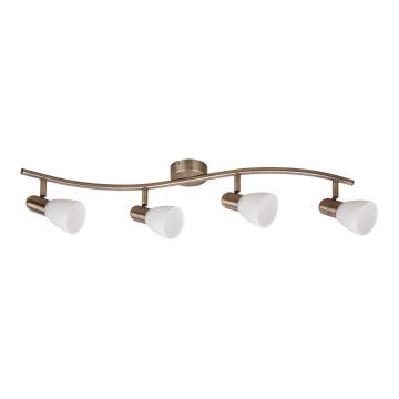 Rabalux - Foco 4xE14/40W/230V