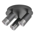 Rabalux - Foco ZIRCON 3xGU10/5W/230V