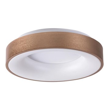 Rabalux - Iluminação de teto LED CARMELA LED/30W/230V diâmetro 38 cm