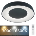 Rabalux - Iluminação de teto LED com regulação LED/38W/230V preto 3000-6500K + CR