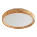 Rabalux - Iluminação de teto LED LED/12W/230V 3000K diâmetro 26 cm