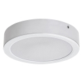 Rabalux - Iluminação de teto LED LED/15W/230V 4000K diâmetro 16 cm branco