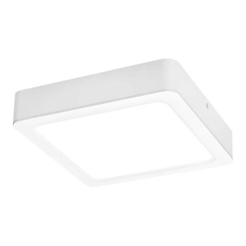 Rabalux - Iluminação de teto LED LED/24W/230V 22x22 cm