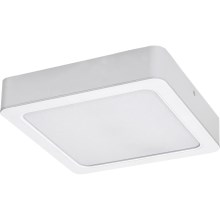 Rabalux - Iluminação de teto LED LED/24W/230V 3000K 22x22 cm branco