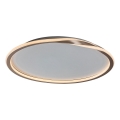 Rabalux - Iluminação de teto LED LED/40W/230V diâmetro 56 cm dourado