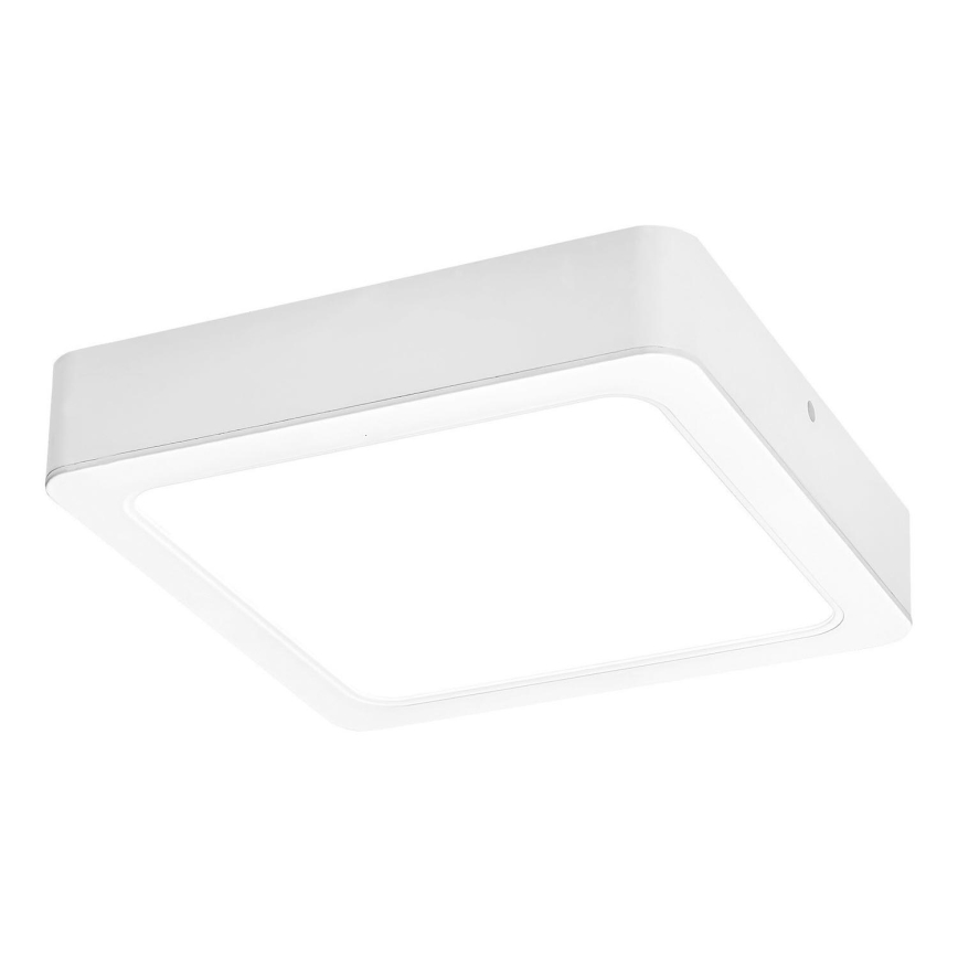 Rabalux - Iluminação de teto LED LED/7W/230V 4000K 12x12 cm branco