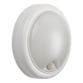 Rabalux - Luminária de parede LED exterior com sensor LED/15W/230V IP54