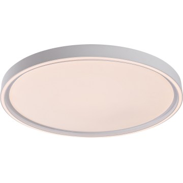 Rabalux - Luminária de teto LED dimerizável 54W/230V IP40 3000-6500K Ø 52 cm + controlo remoto