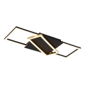 Rabalux - Luminária de teto LED dimerizável LED/40W/230V 3000-6500K 29x66 cm + controlo remoto