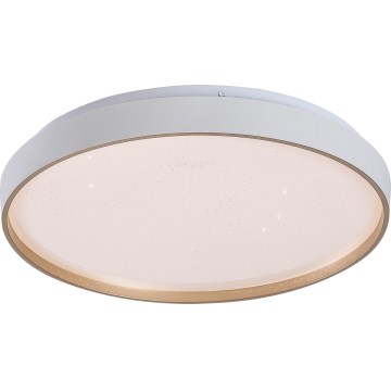 Rabalux - Luminária de teto LED regulável LED/34W/230V 3000-6500K diâmetro 38 cm + controlo remoto
