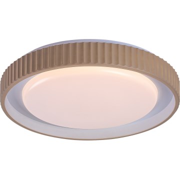 Rabalux - Luminária de teto LED regulável LED/48W/230V 3000-6500K diâmetro 49,5 cm + controlo remoto