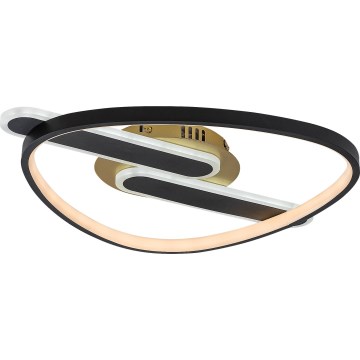 Rabalux - Luminária de teto LED regulável LED/60W/230V 3000-6000K 53x45 cm + comando remoto