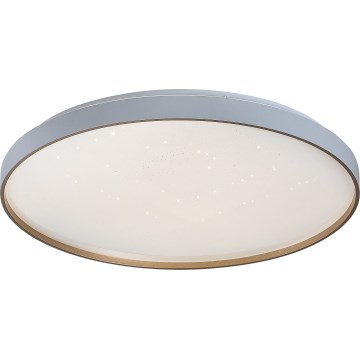 Rabalux - Luminária de teto LED regulável LED/80W/230V 3000-6500K diâmetro 77 cm + controlo remoto