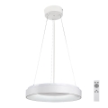 Rabalux - Lustre LED regulável com cabo LED/38W/230V 3000-6500K branco + comando à distância