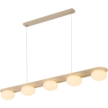 Rabalux - Lustre pendente com cabo 5xG9/25W/230V
