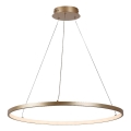 Rabalux - Lustre suspenso por cabo LED/55W/230V 3000K