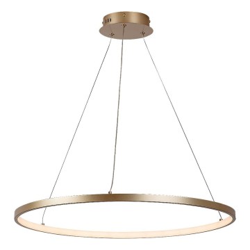 Rabalux - Lustre suspenso por cabo LED/55W/230V 3000K
