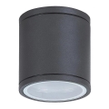Rabalux - Luz de teto de exterior 1xGU10/35W/230V IP54