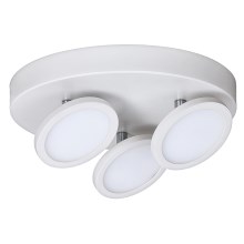 Rabalux - Luz de teto LED 3xLED/6W/230V branco