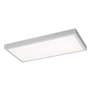 Rabalux - Painel integrado LED LED/24W/230V 4000K 60x30 cm