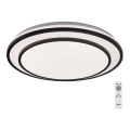 Rabalux - Plafon LED regulável 40W/230V 3000–6500K, preto, diâmetro 49 cm + controlo remoto