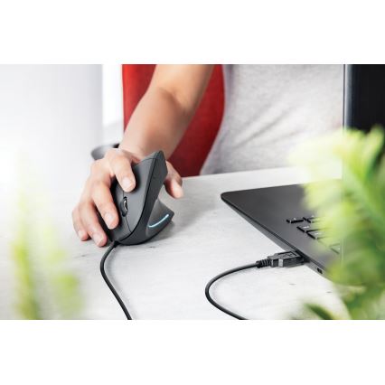 Rato ergonómico 1000/1600 DPI 6 botões