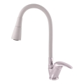 RAV Slezák SA006.0/13S - Misturadora de cozinha com bica flexível SAZAVA 35,6 cm cinzento/cromado brilhante