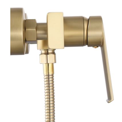 REA-B6403 - Conjunto de duche com misturador HASS, dourado escovado