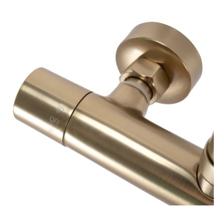 REA-P2323 - Conjunto de duche com bateria termostática PAROT, acabamento dourado escovado