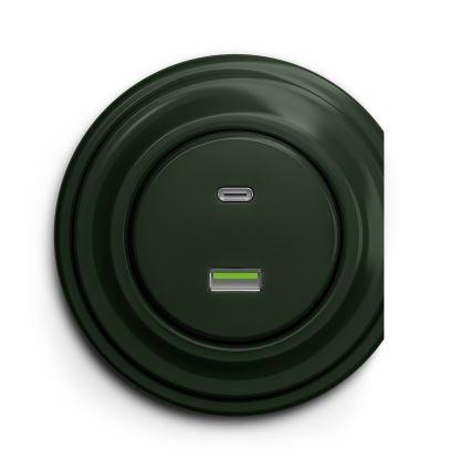 Reblig - Moldura retro com borda verde