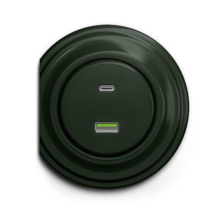 Reblig - Moldura retro com borda verde