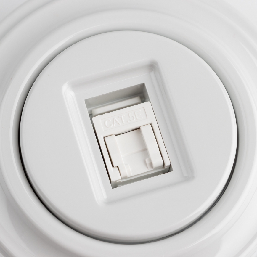 Reblig - Tomada de dados retro com moldura em branco neve