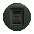 Reblig - Tomada de dados retro sem moldura verde