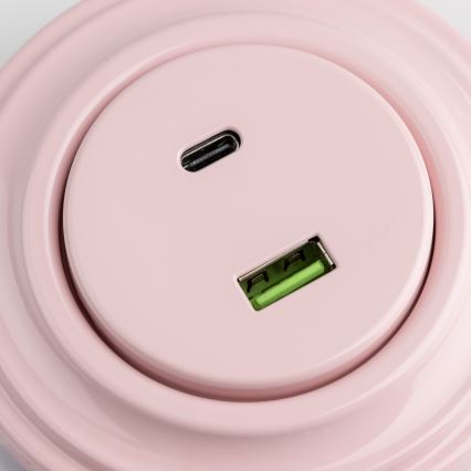 Reblig - Tomada USB retro A+C com moldura, rosa vintage