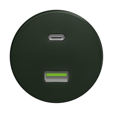 Reblig - Tomada USB retro A+C sem moldura, verde