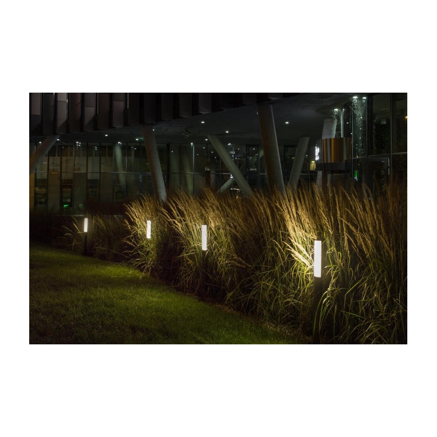 RED - Design Rendl - R10548 - Candeeiro exterior LED VADIS LED/8W/230V IP54